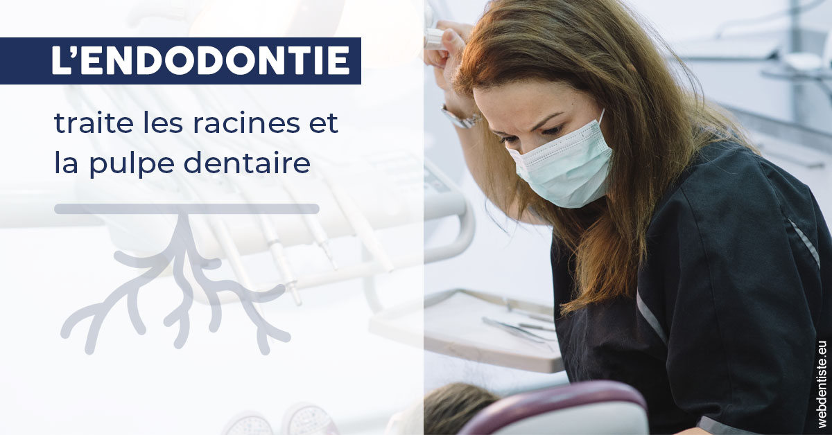 https://selas-du-dr-colas.chirurgiens-dentistes.fr/L'endodontie 1