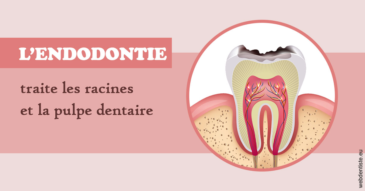 https://selas-du-dr-colas.chirurgiens-dentistes.fr/L'endodontie 2