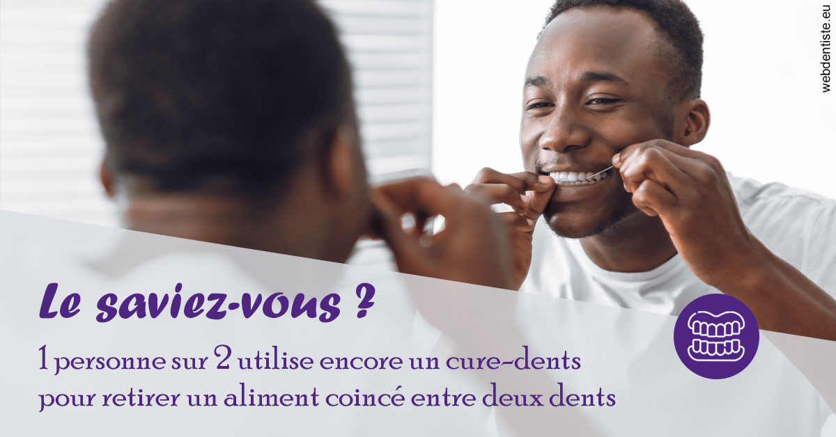 https://selas-du-dr-colas.chirurgiens-dentistes.fr/Cure-dents 2