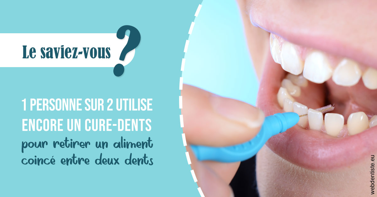 https://selas-du-dr-colas.chirurgiens-dentistes.fr/Cure-dents 1